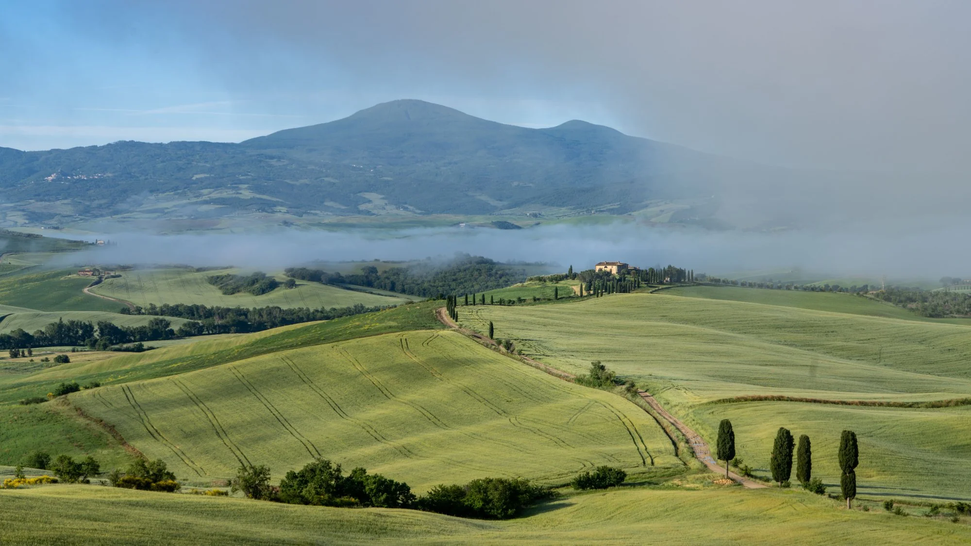 Collines de Toscane et chemin bordé de cyprès sous la brume matinale - domaines d'intervention du cabinet DUNAN AVOCATS à Toulon