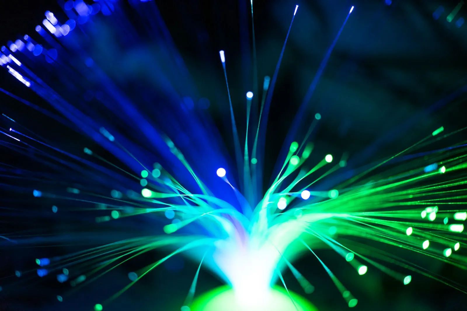 Fibres optiques vertes et bleues - contrats clients, conditions générales et services en ligne